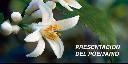 PRESENTACI\u00d3N DEL POEMARIO \u2013CUANDO FLORECE EL LIMONERO\u2013