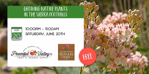 Growing Native Plants in the Sierra Foothills (June 20th)