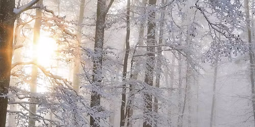 Winter Solstice Celebration