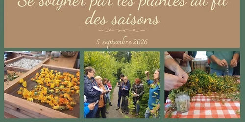 Se soigner par les plantes au fil des saisons