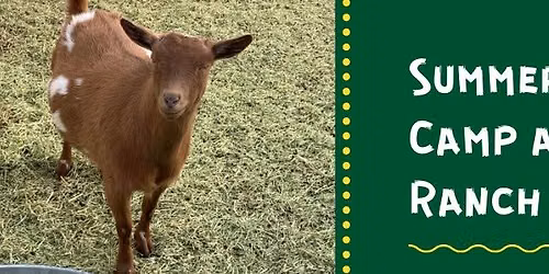 Summer Farm Camp at The Ranch Week 6