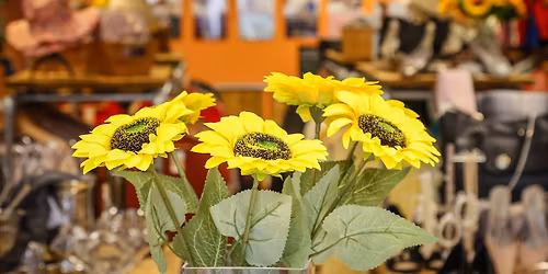 Boscombe East Shop Opening \ud83d\udecd\ufe0f\ud83c\udf89