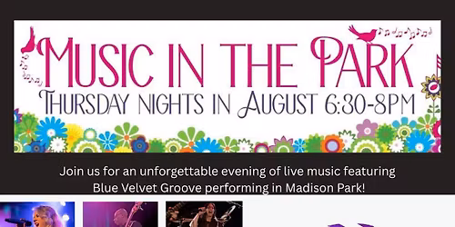 Blue Velvet Groove at Music in The Park - Madison Park, Seattle