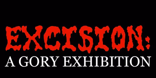 EXCISION: A Gory Exhibition by Jesse Dunnell