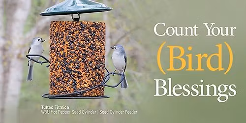 Citizen Science! Learn how to become a bird advocate without leaving your house!