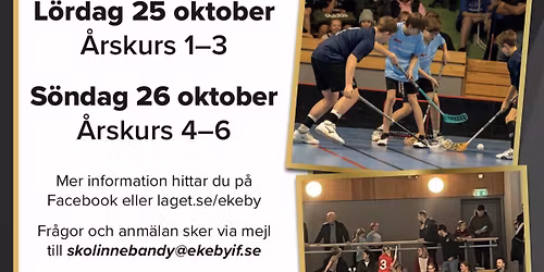 Skolinnebandy 2025