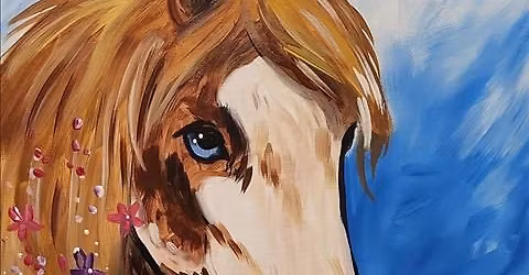 Spring Horse