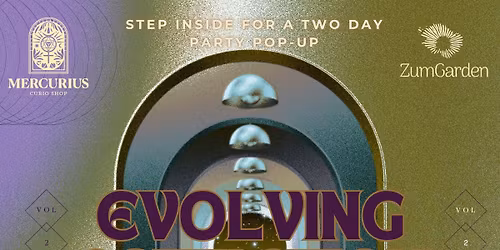 Evolving Activations Vol2