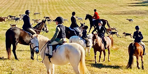 Thanksgiving Junior Meet!