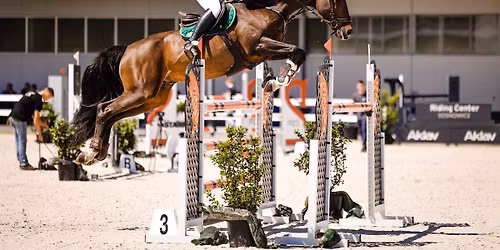 Konsultacje z Ol\u0105 Sobock\u0105!