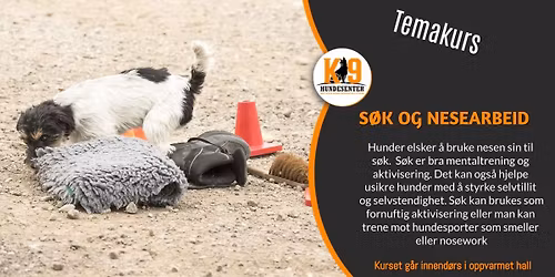 Temakurs: S\u00f8k og nesearbeid - nybegynner