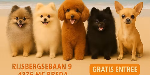 Little Dogs Party - Zo 13 sept 2026