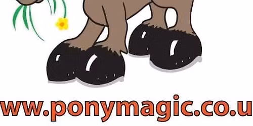 Pony Magic at Manor Farm