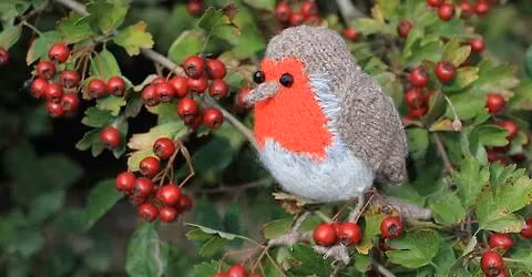 Sunday Social at Potteric Carr