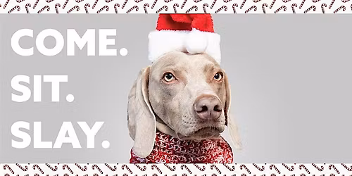 Santa Paws at Stamford Town Center