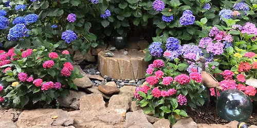 LGBT Hydrangea Tour