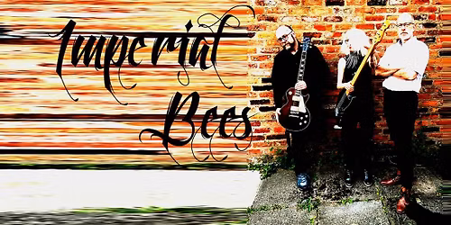 Imperial Bees Live at The Button Warehouse