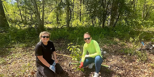 FOPOS Land Stewardship Volunteer Day \/\/ Saturday, June 13th