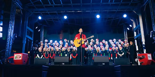 Franklin Tree Lighting