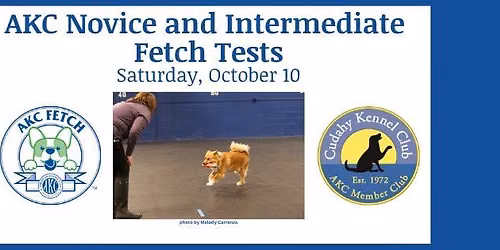 Novice and Intermediate Fetch Tests
