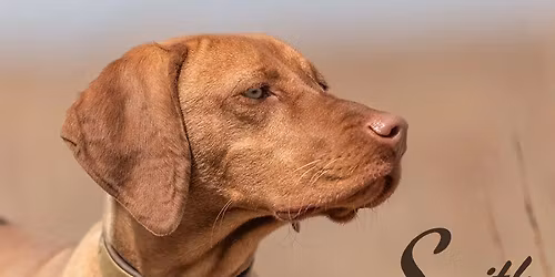 Smith Kennels Foundation Seminar hosted by: Side by Side Upland Dog Training