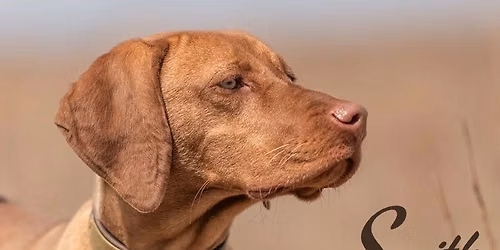 Smith Kennels Foundation Seminar hosted by: Side by Side Upland Dog Training