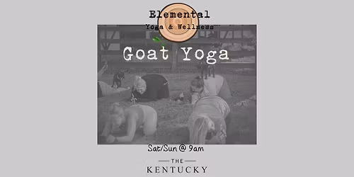 Goat Yoga at The Kentucky Castle