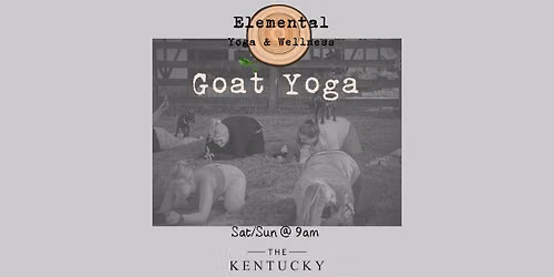 Goat Yoga at The Kentucky Castle