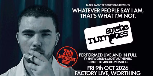 Arctic Numpties — The Factory Live