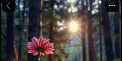 \ud83c\udf3f Pathways to Trauma Healing: A Six-Week Workshop