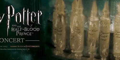 Harry Potter and the Half-Blood Prince\u2122\ufe0f