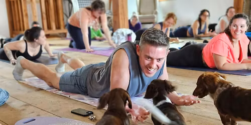 Puppies & Pilates at Vanished Valley Brewing Company!