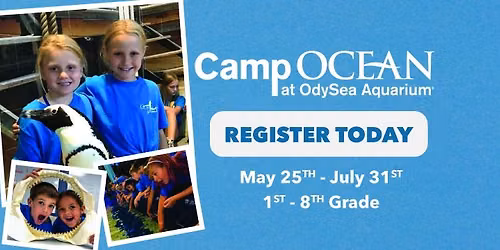 Camp Ocean - Summer Camp 