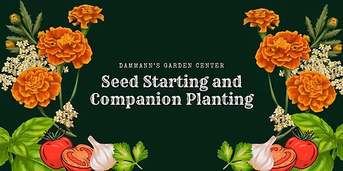Seed Starting and Companion Planting