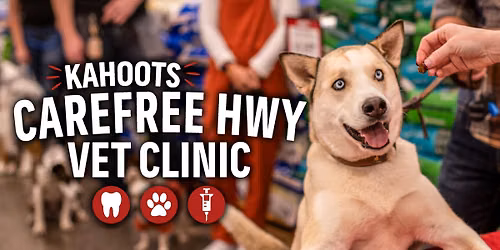 Low Stress Vet Clinic & Teeth Cleaning