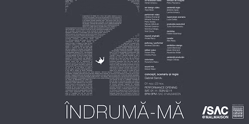 \u00cendrum\u0103-m\u0103 - instala\u021bie performativ\u0103