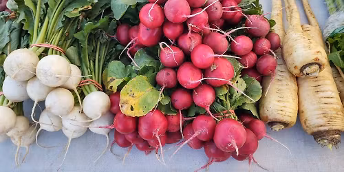 June 20th Market