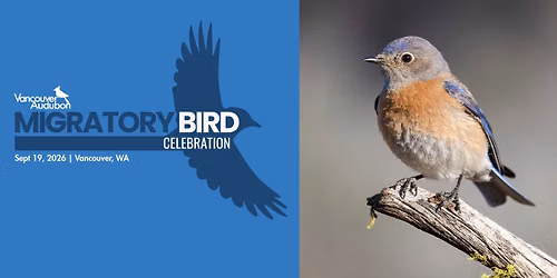 Vancouver Audubon: Migratory Bird Celebration