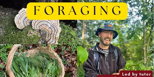 Foraging - an introductory course