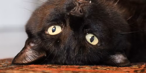 December HoCoPhoto Meeting