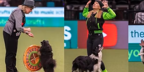 HTM\/Freestyle Training - With Michelle & Carole Dodson