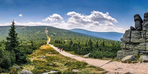 Wakacyjny RunCamp z Rozumem