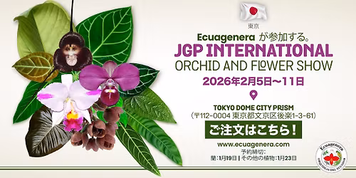 Ecuagenera \u304c\u53c2\u52a0\u3059\u308b\u3002JGP INTERNATIONAL ORCHID AND FLOWER SHOW