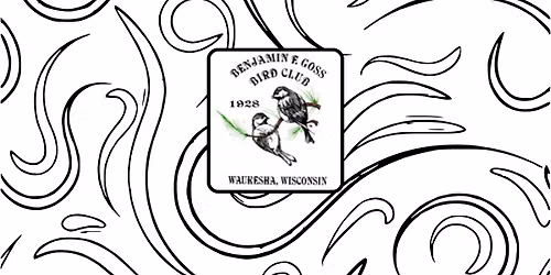 The Big Sit Bird Count