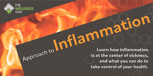 The Wellness Way - Yorkville - Approach to Inflammation 9.1.26