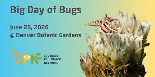 Big Day of Bugs