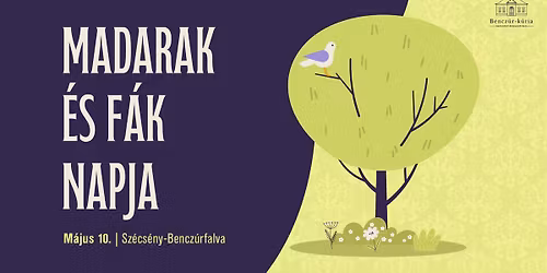 \ud83c\udf33\ud83d\udc26 Madarak \u00e9s f\u00e1k napja a Bencz\u00far-k\u00fari\u00e1ban \ud83d\udc26\ud83c\udf33