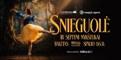 BALETAS SNIEGUOL\u0116 IR 7 NYK\u0160TUKAI \/ \u0160IAULIAI \/ 10.16