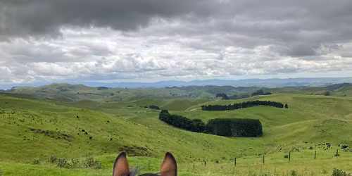 Makuri School Horse Trek Fundraiser 2026