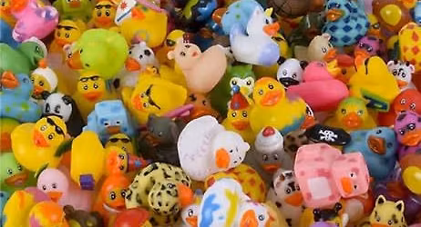 Duck Hunt at Sea